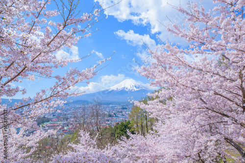 富士山と桜