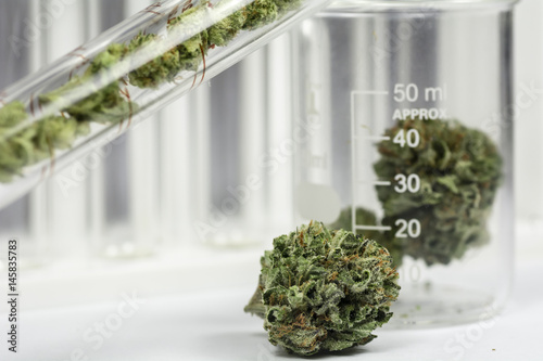 Science, Research, Technology and Cannabis -  The Increasingly Legal, Medical and Recreational Use of Marijuana