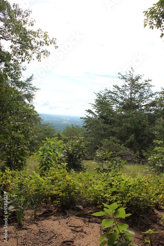 Hike View