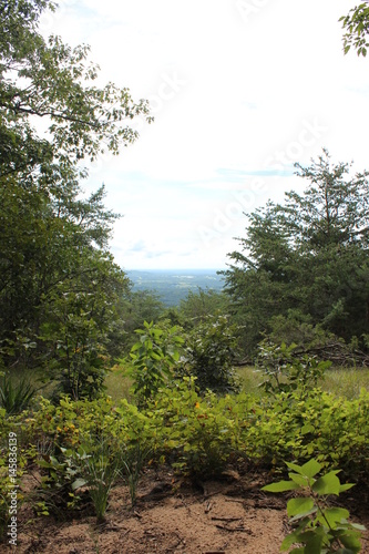 Hike View
