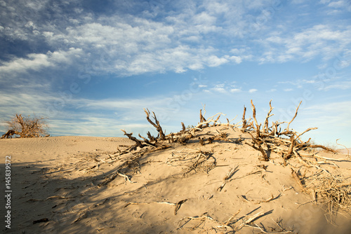 Death Valley National Park