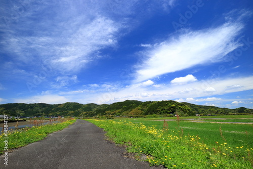 Obraz na płótnie 田舎の風景 宮崎県日南市 w salonie