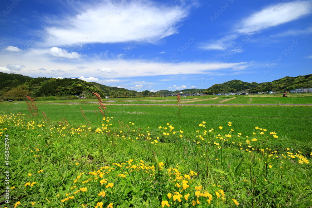 田舎の風景 宮崎県日南市