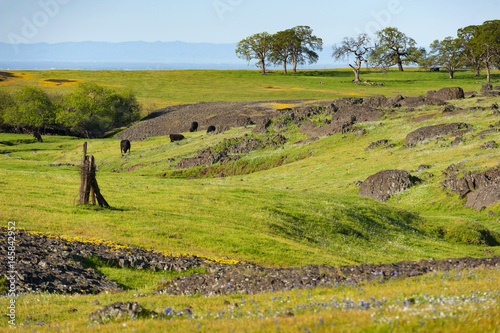 North Table Mountain Ecological Reserve, Oroville, California. An elevated basalt mesa with beautiful vistas of spring wildflowers, waterfalls, lava outcrops and a rare type of vernal pool.