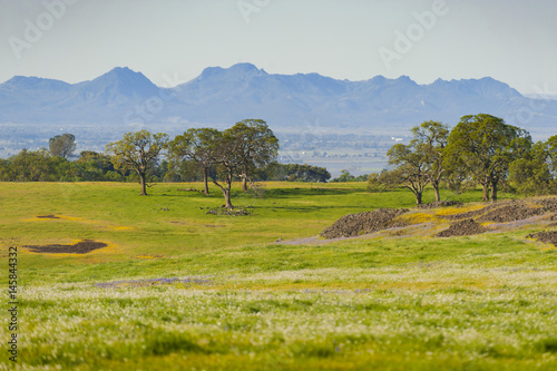 North Table Mountain Ecological Reserve, Oroville, California. An elevated basalt mesa with beautiful vistas of spring wildflowers, waterfalls, lava outcrops and a rare type of vernal pool. photo