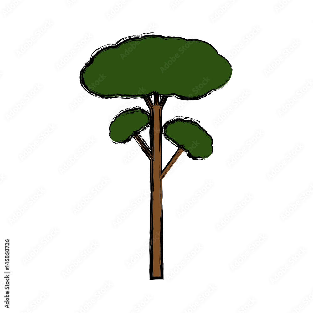Fototapeta premium Tree natural ecology icon vector illustration graphic design
