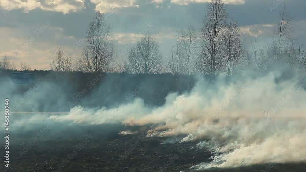 Video grass is burning on the field near the road. Video grass is burning on the field near the road.