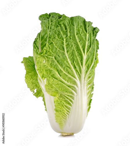 fresh napa cabbage on white background