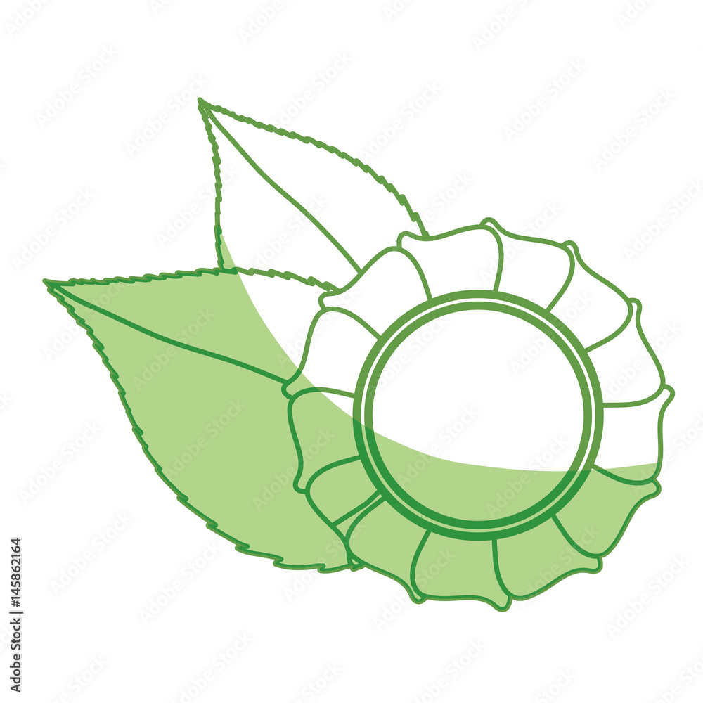 organic quality label icon vector illustration graphic design organic quality label icon vector illustration graphic design