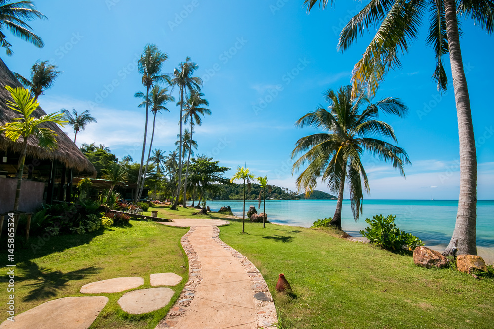 Tropical beach with coconut palms at Thailand Summer Season Tropical beach with coconut palms at Thailand Summer Season
