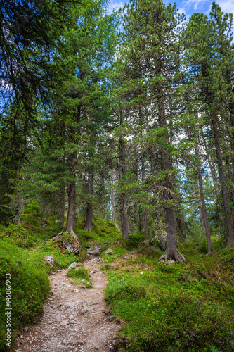 Tourist trail in Italian Alps