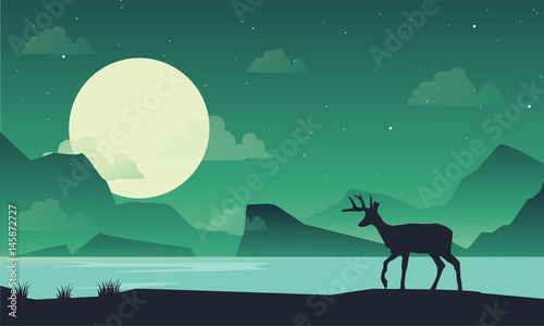 Silhouette of deer on lake at night scenery