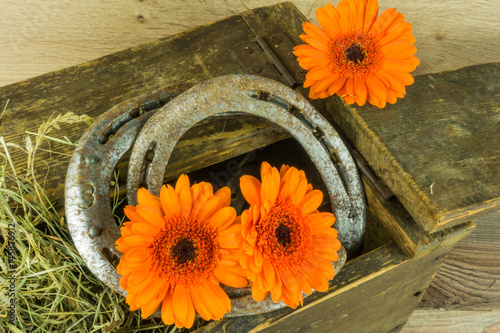 Old horseshoe with hay and flowers on a rustic wooden background