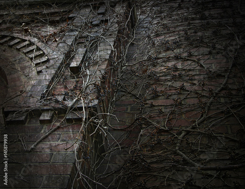 Dark Gothic Vine Covered Wall