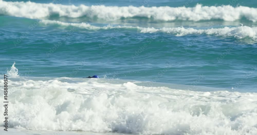 Male surfer swimming in the beach Male surfer swimming in the beach