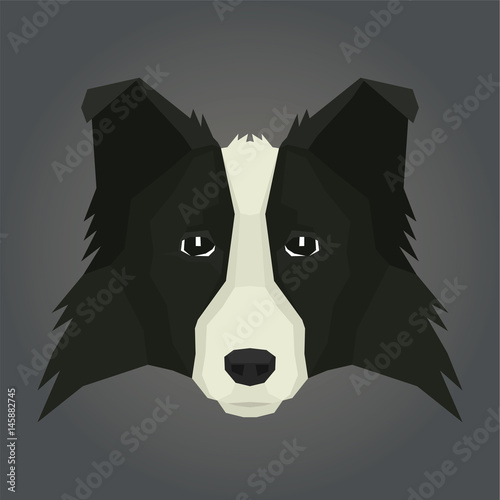 Dog collection Border Collie Geometric style Avatar