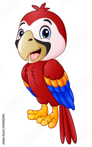 Funny macaw bird cartoon