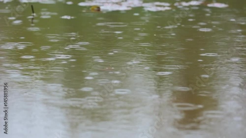 Rain on the water motion 