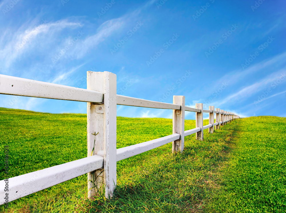 fence with green grass