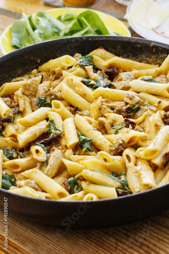 Penne with sun dried tomatoes, chicken and spinach