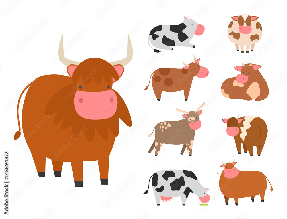 Bulls cows farm animal character vector illustration cattle mammal nature wild beef agriculture. Bulls cows farm animal character vector illustration cattle mammal nature wild beef agriculture.
