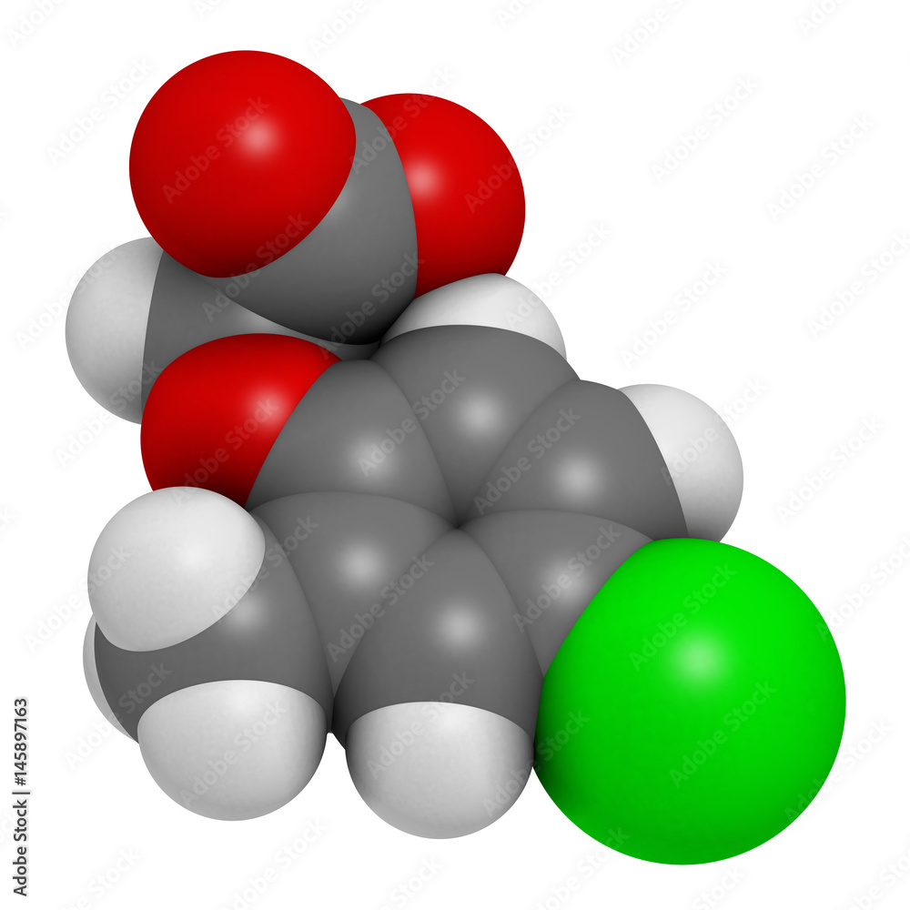MCPA (2-methyl-4-chlorophenoxyacetic acid) herbicide molecule. 3D rendering. Atoms are represented as spheres with conventional color coding. MCPA (2-methyl-4-chlorophenoxyacetic acid) herbicide molecule. 3D rendering. Atoms are represented as spheres with conventional color coding.