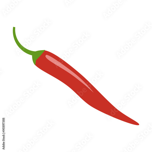 Red Chili pepper vector illustration isolated on white background. Flat design