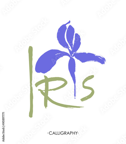 Vector flower logo. Floral background. Stylized calligraphic ink iris.