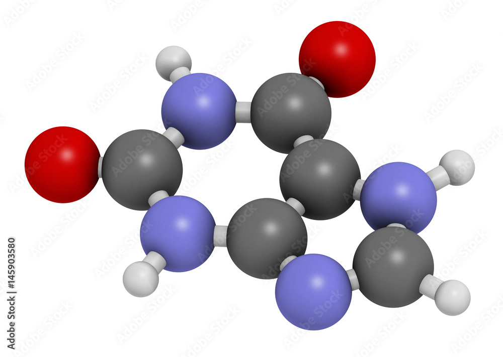 Xanthine purine base molecule. 3D rendering. Atoms are represented as spheres with conventional color coding: hydrogen (white), carbon (grey), nitrogen (blue), oxygen (red). Xanthine purine base molecule. 3D rendering. Atoms are represented as spheres with conventional color coding: hydrogen (white), carbon (grey), nitrogen (blue), oxygen (red).