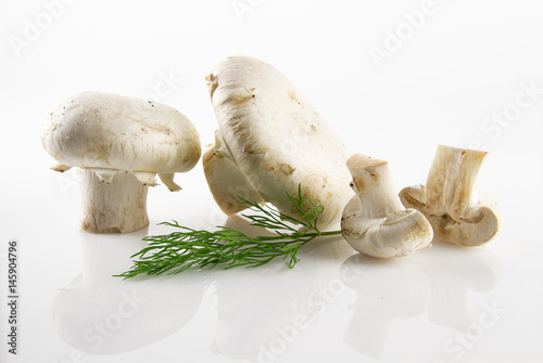 Fresh and appetizing mushrooms isolated on white background
