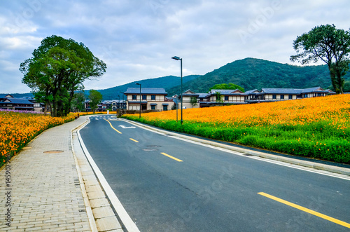 Road in flower sea in nianhua wan town,lingshan,wuxi