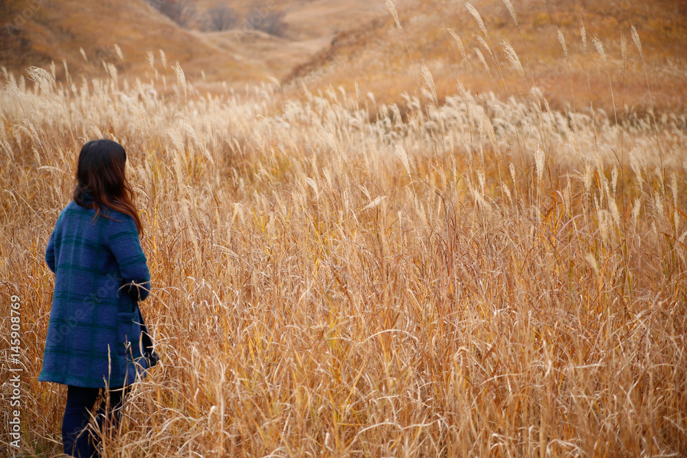Japanese women walking in autumn grassland