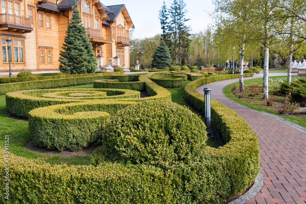 Garden with topiary landscape. Landscaping in the park