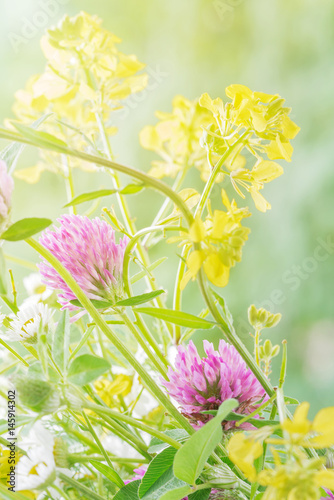 Bouquet of wild flowers
