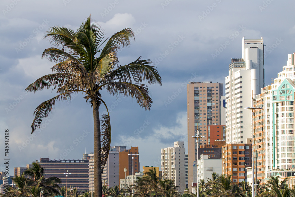 Palm Trees Against Overcast City Skyline in Durban