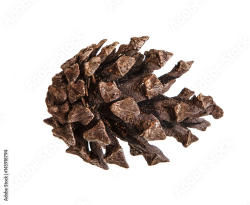 Dry pine cone isolated on white background