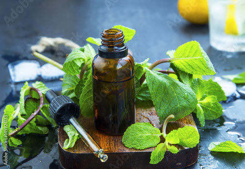 Tableau sur toile Mint essential oil in bottle
