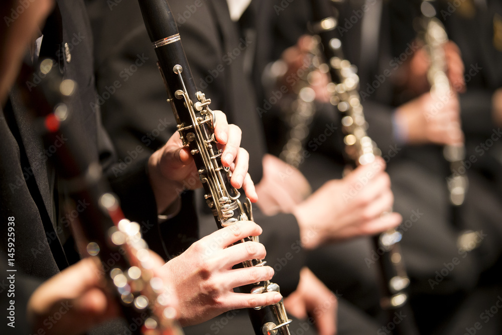 Fototapeta premium Details of a music orchestra