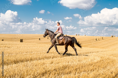 Man ride horse on field © mooseshop