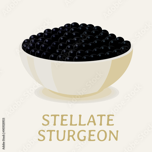 Vector illustration of the black stellate sturgeon caviar in a white plate.