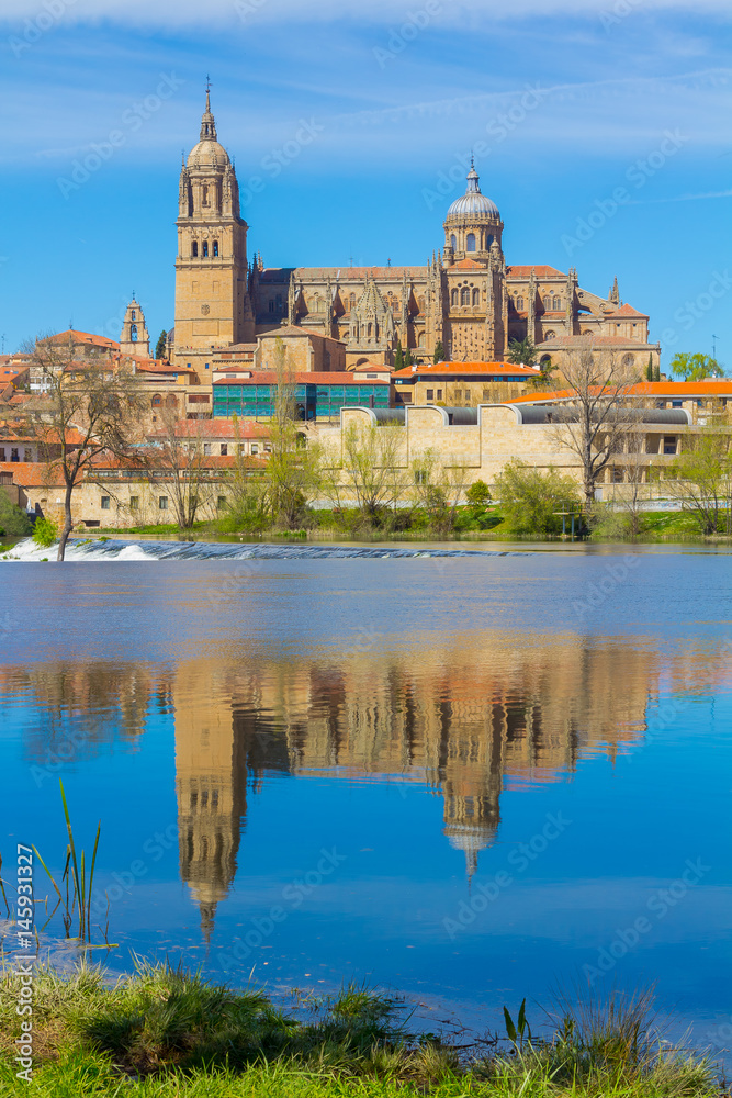 Fototapeta premium View of the cathedral of Salamanca reflected in the river, spain