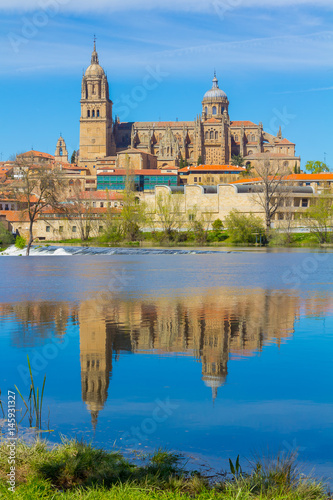 View of the cathedral of Salamanca reflected in the river, spain