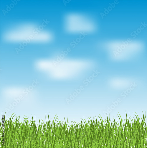 Blue sky and green grass, nature background