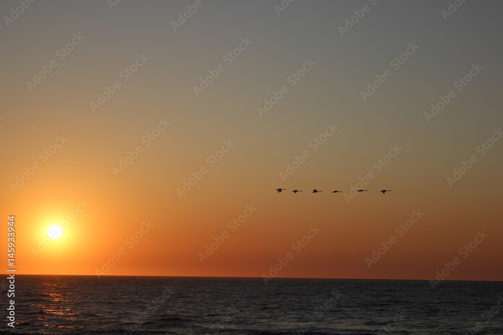 sunset sunset
