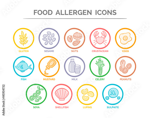 Food safety allergy icons set. 14 food ingredients that must be declared as allergens in the EU. EPS 10 vector. Useful for restaurants and meals.