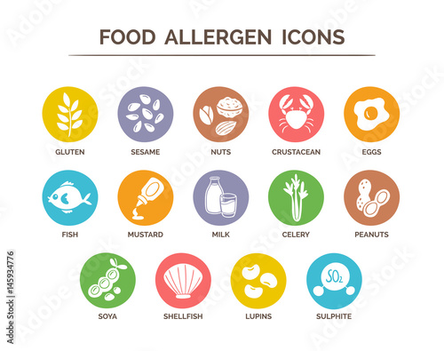 Food safety allergy icons set. 14 food ingredients that must be declared as allergens in the EU. EPS 10 vector. Useful for restaurants and meals. photo
