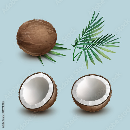 Set of coconuts