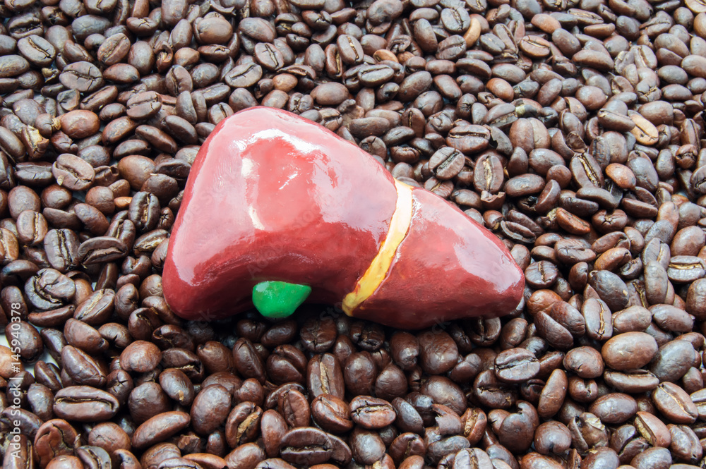 Liver and coffee or caffeine. Anatomical liver figure lying on roasted ...