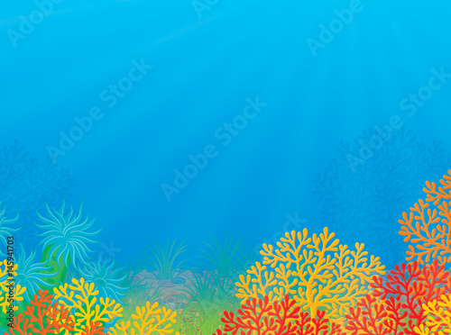 Fototapeta Naklejka Na Ścianę i Meble -  Tropical coral reef