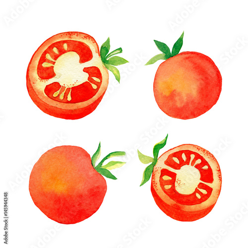 watercolor illustration of tomato set on white